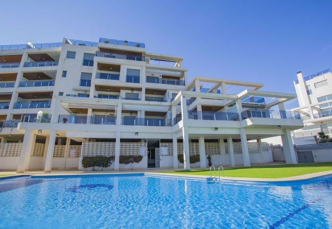 Apartment in La Zenia - 235 Zenia Mar Azul-Alicante Holiday
