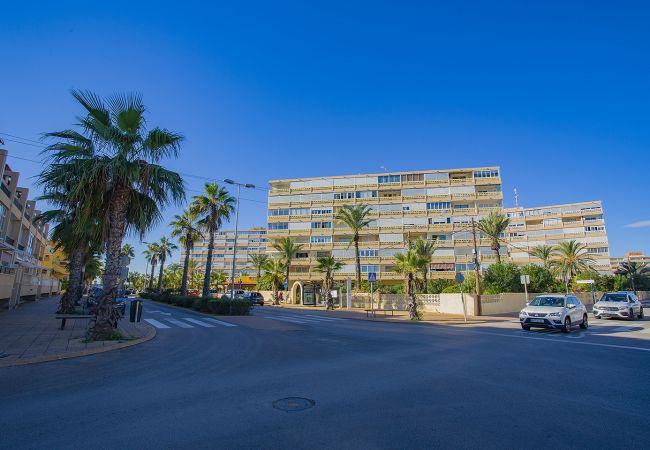 Apartment in La Mata - Limpieza XX072 The Sea Magic - Alicante Holiday Apartment in La Mata - Limpieza XX072 The Sea Magic - Alicante Holiday