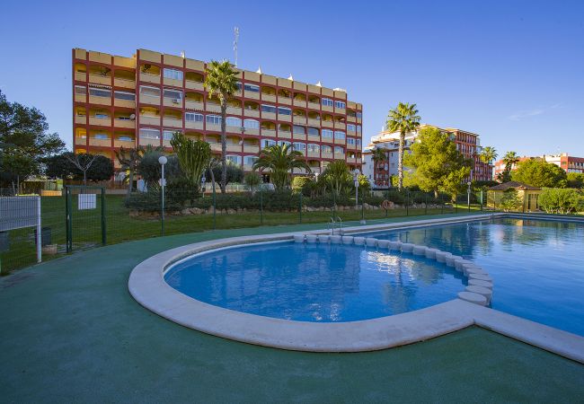 Apartment in Torrevieja - 015 Torremar Nice Holiday - Alicante Holiday