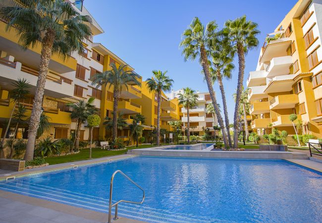 Apartment in Torrevieja - 231  Recoleta Style Relax - Alicante Holiday