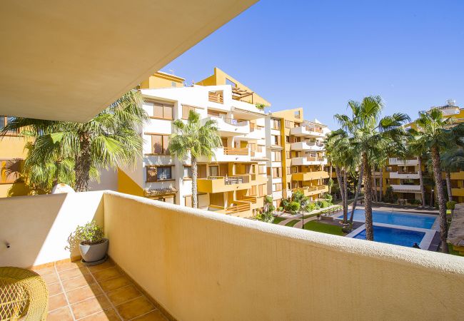 Apartment in Torrevieja - 231  Recoleta Style Relax - Alicante Holiday