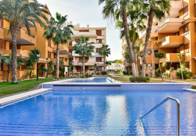 Apartment in Torrevieja - 231  Recoleta Style Relax - Alicante Holiday