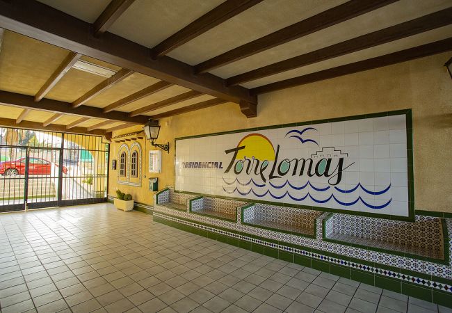 Apartment in La Mata - 090 Torre Lomas Apartment - Alicante Holiday Apartment in La Mata - 090 Torre Lomas Apartment - Alicante Holiday