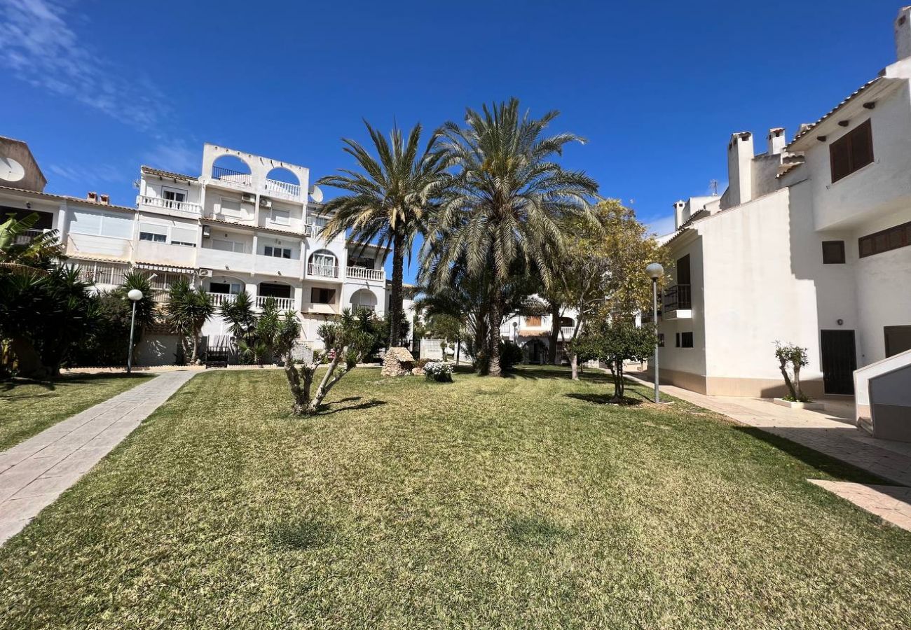 Bungalow in Torrevieja - 140 Bungalow Paradise  - Alicante Holiday