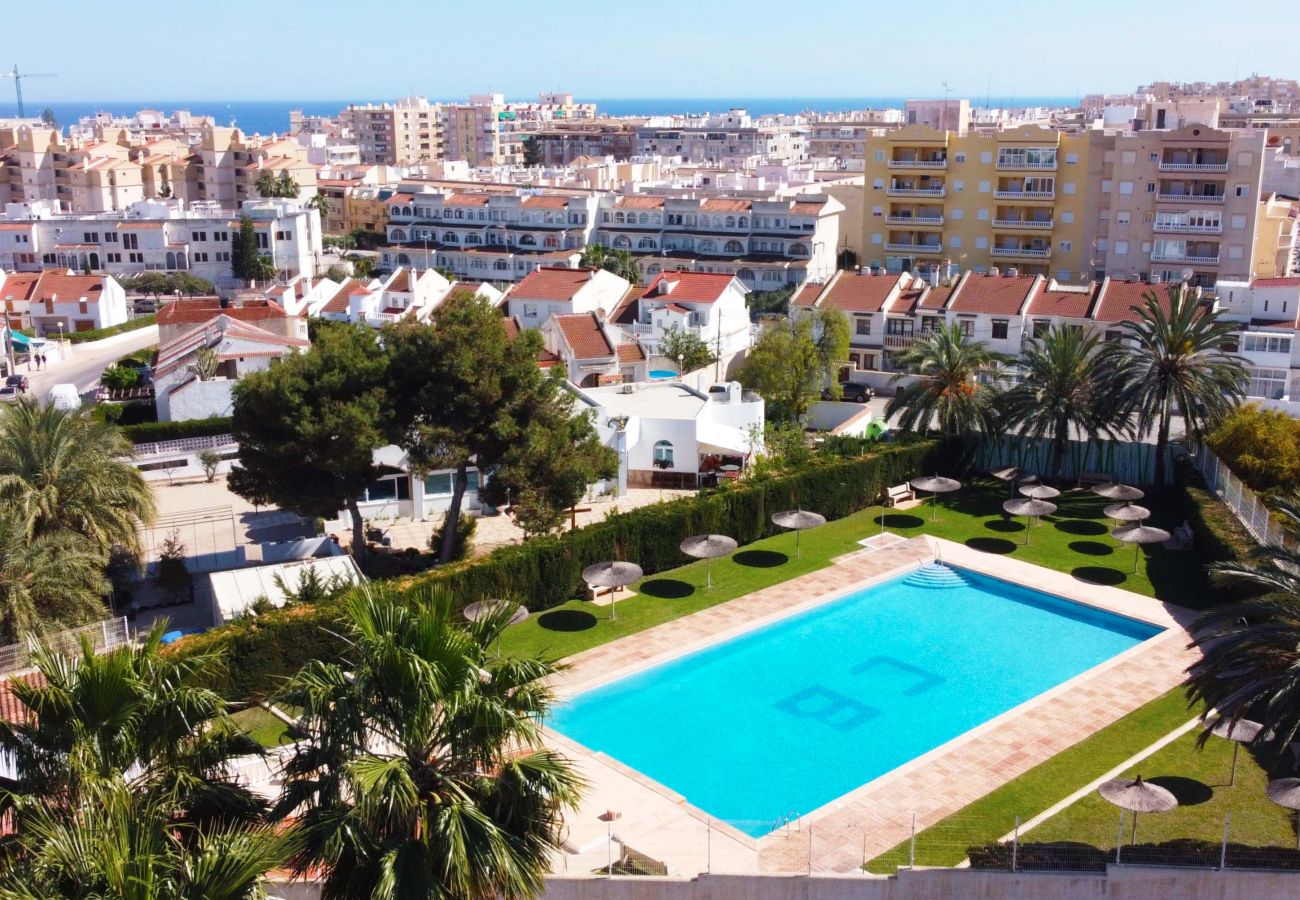 Bungalow in Torrevieja - 140 Bungalow Paradise  - Alicante Holiday
