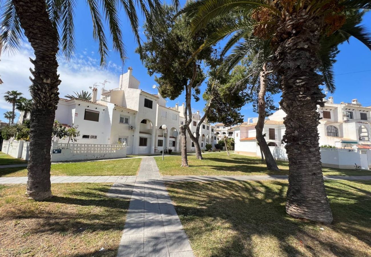 Bungalow in Torrevieja - 140 Bungalow Paradise  - Alicante Holiday