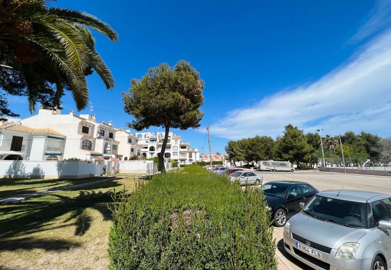Bungalow in Torrevieja - 140 Bungalow Paradise  - Alicante Holiday