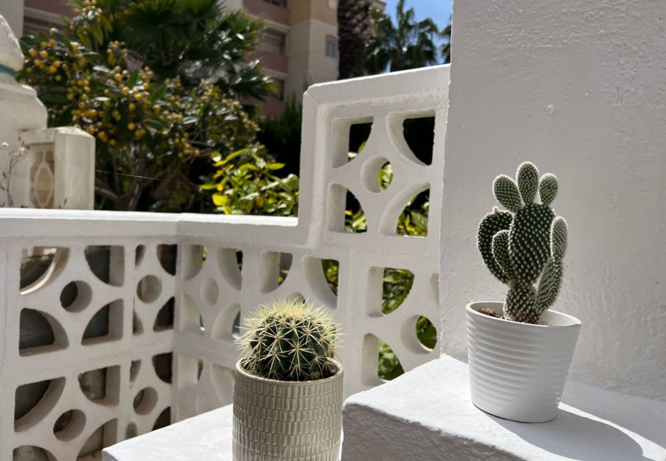 Bungalow in Torrevieja - 140 Bungalow Paradise  - Alicante Holiday