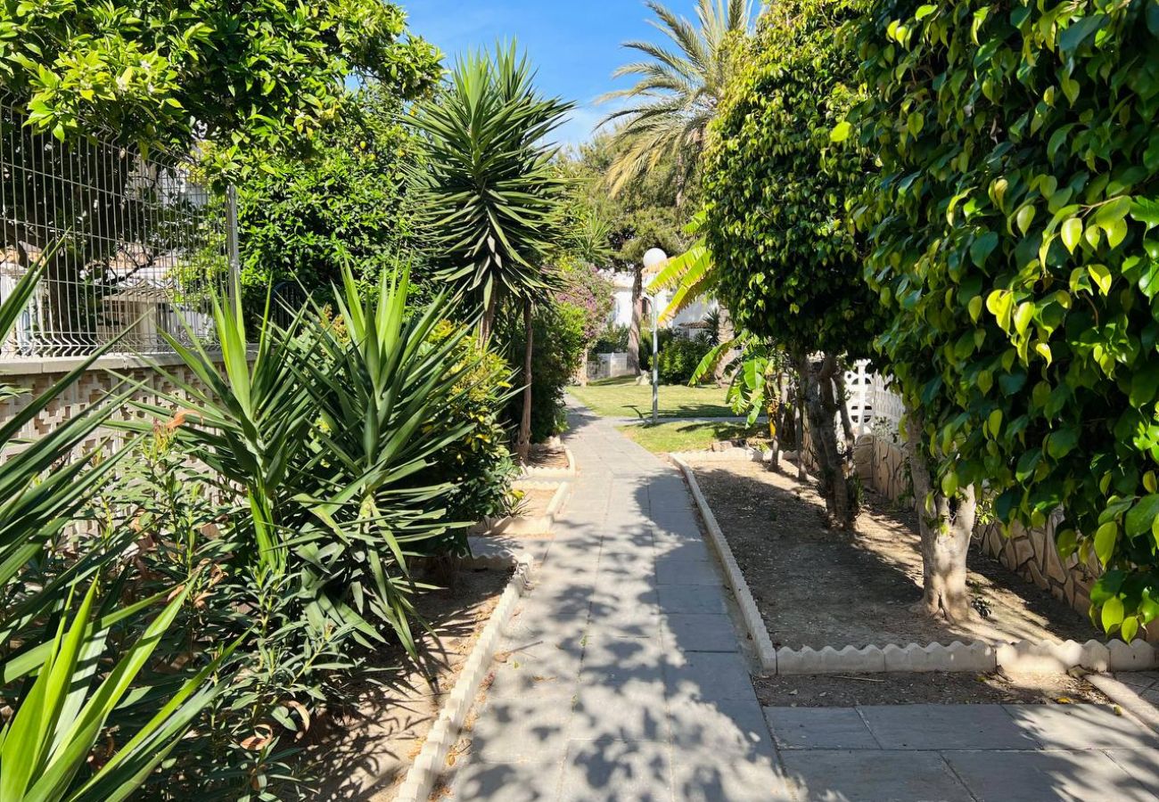 Bungalow in Torrevieja - 140 Bungalow Paradise  - Alicante Holiday