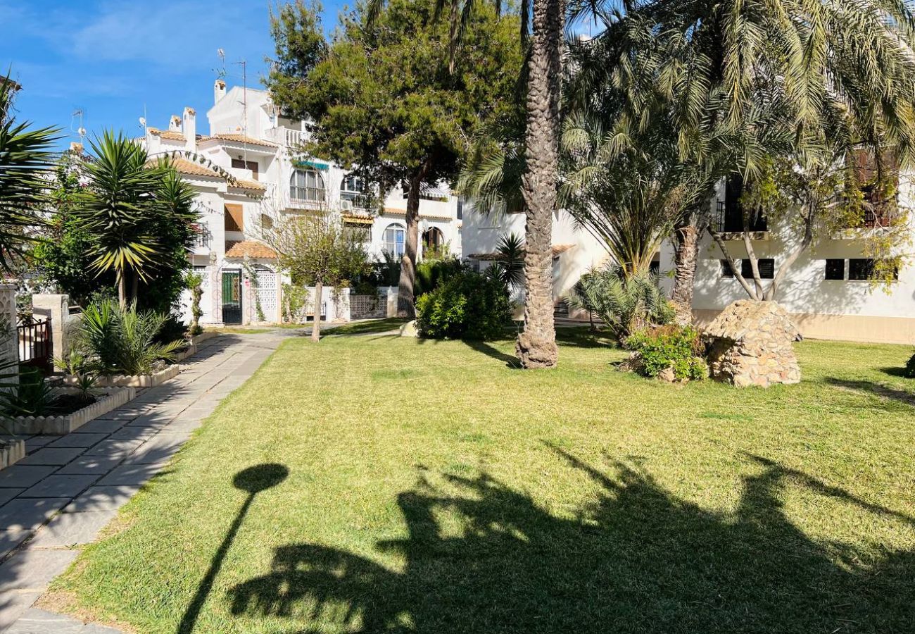 Bungalow in Torrevieja - 140 Bungalow Paradise  - Alicante Holiday