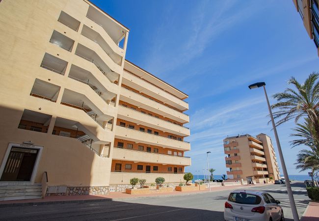 Apartment in Torrevieja - 037 Blue Laguna - Alicante Holiday