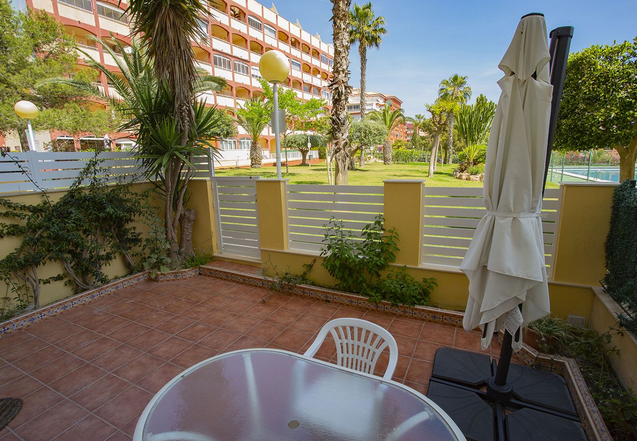 Apartment in Torrevieja - 025 Helena Nice Terrace - Alicante Holiday