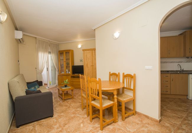 Apartment in Torrevieja - 141 Rambla Nice Place - Alicante Holiday Apartment in Torrevieja - 141 Rambla Nice Place - Alicante Holiday