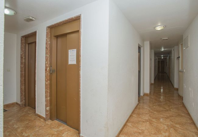 Apartment in Torrevieja - 141 Rambla Nice Place - Alicante Holiday Apartment in Torrevieja - 141 Rambla Nice Place - Alicante Holiday