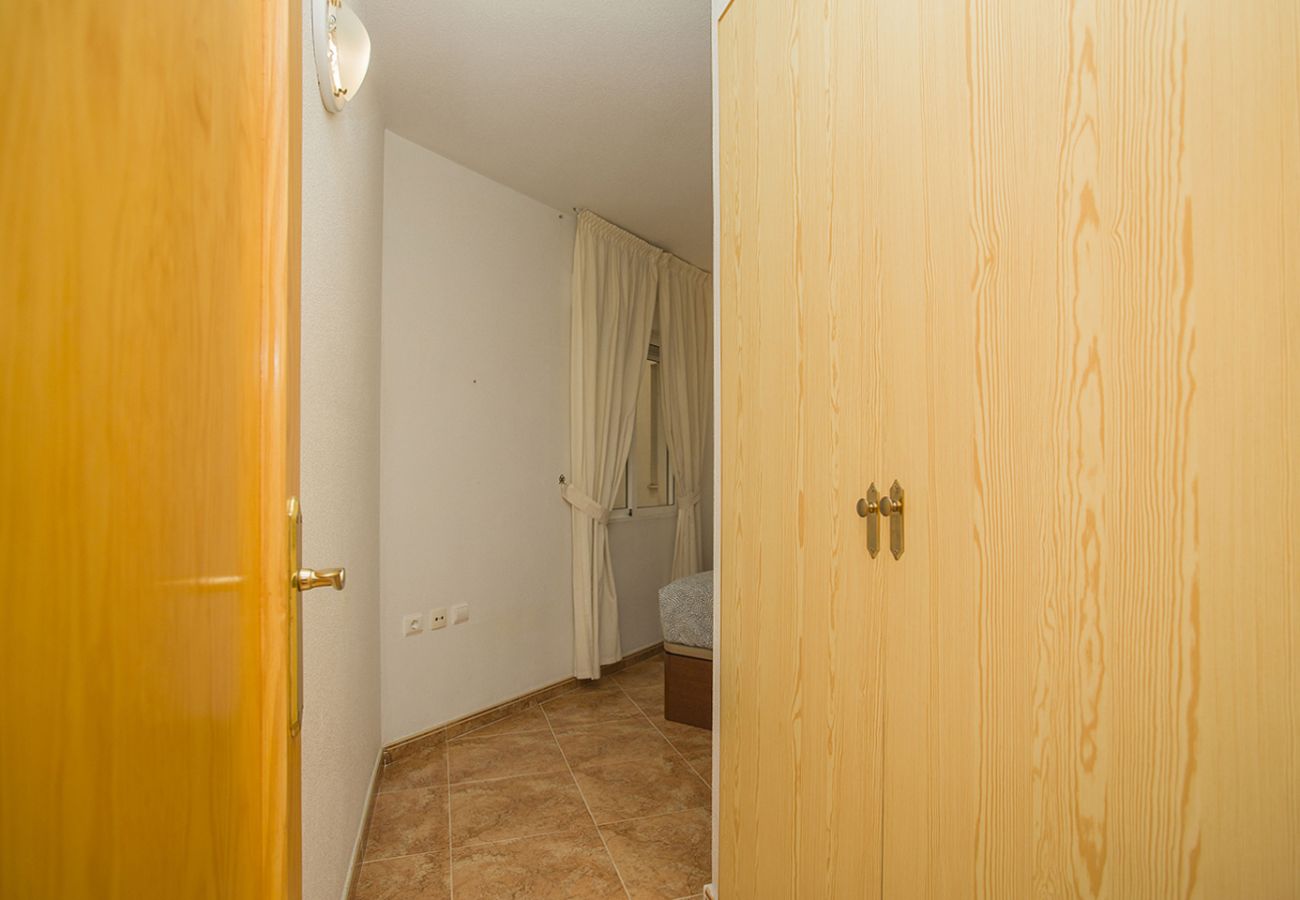 Apartment in Torrevieja - 141 Rambla Nice Place - Alicante Holiday