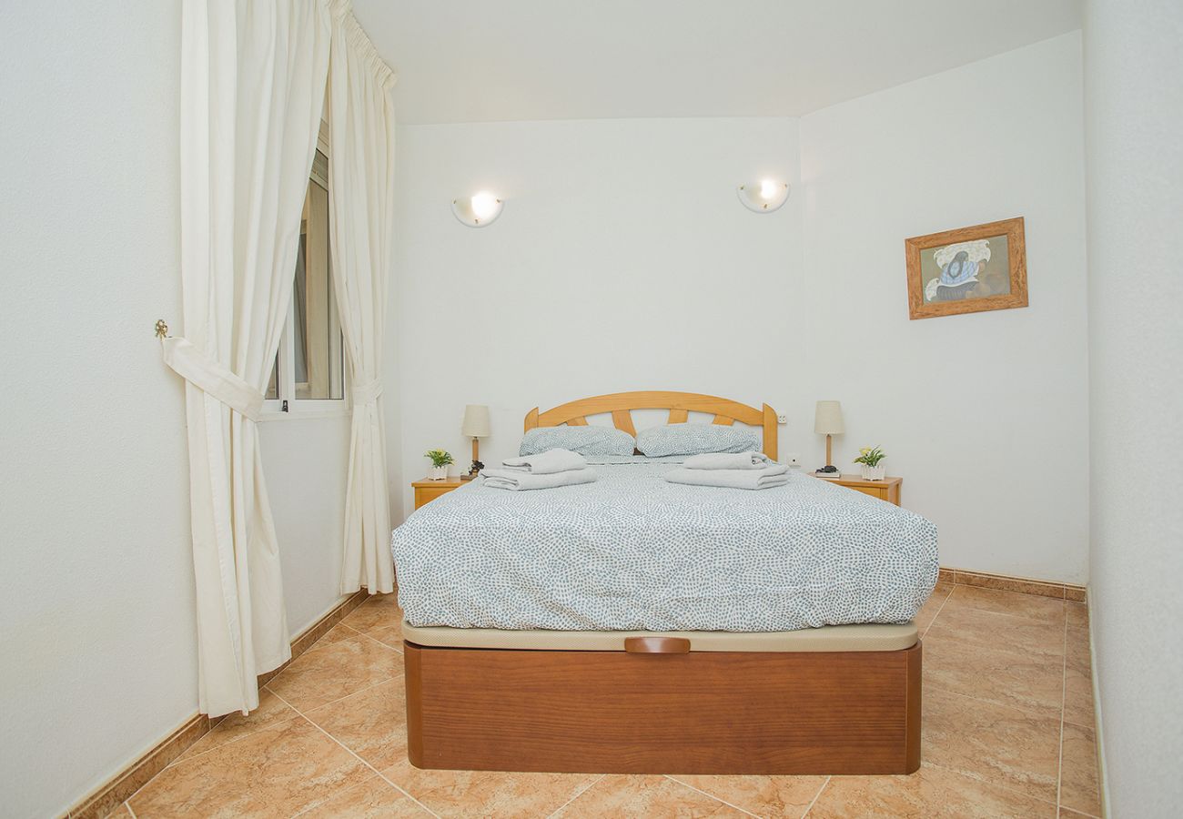 Apartment in Torrevieja - 141 Rambla Nice Place - Alicante Holiday