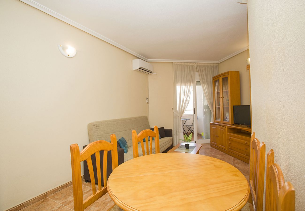 Apartment in Torrevieja - 141 Rambla Nice Place - Alicante Holiday