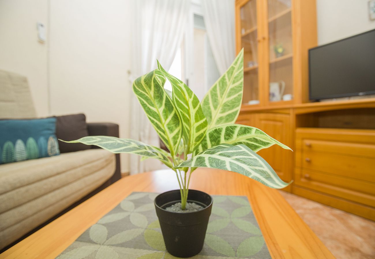 Apartment in Torrevieja - 141 Rambla Nice Place - Alicante Holiday