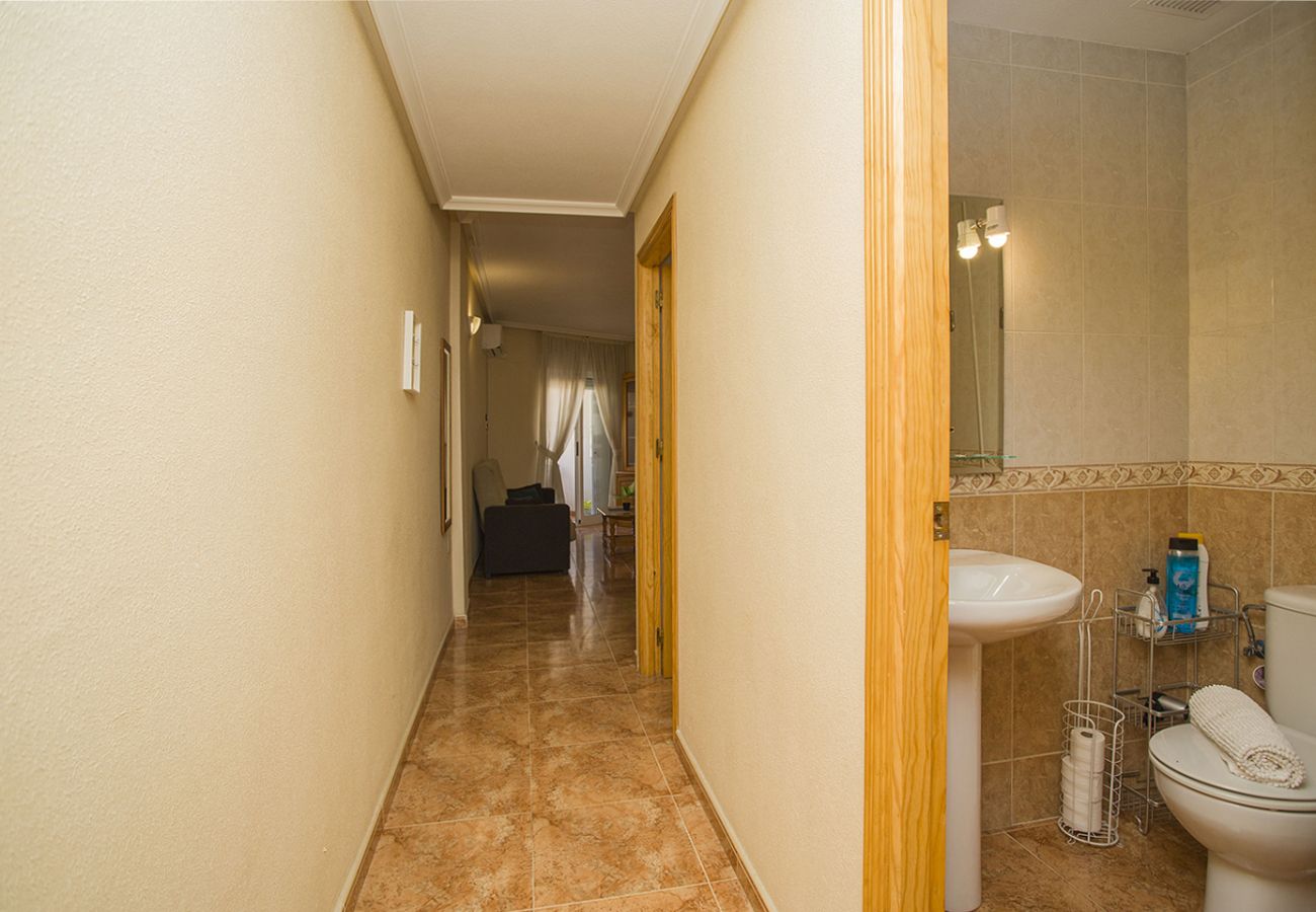 Apartment in Torrevieja - 141 Rambla Nice Place - Alicante Holiday