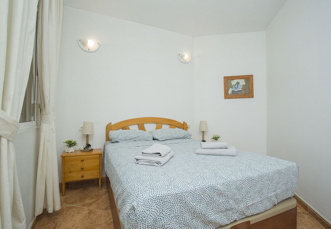 Apartment in Torrevieja - 141 Rambla Nice Place - Alicante Holiday