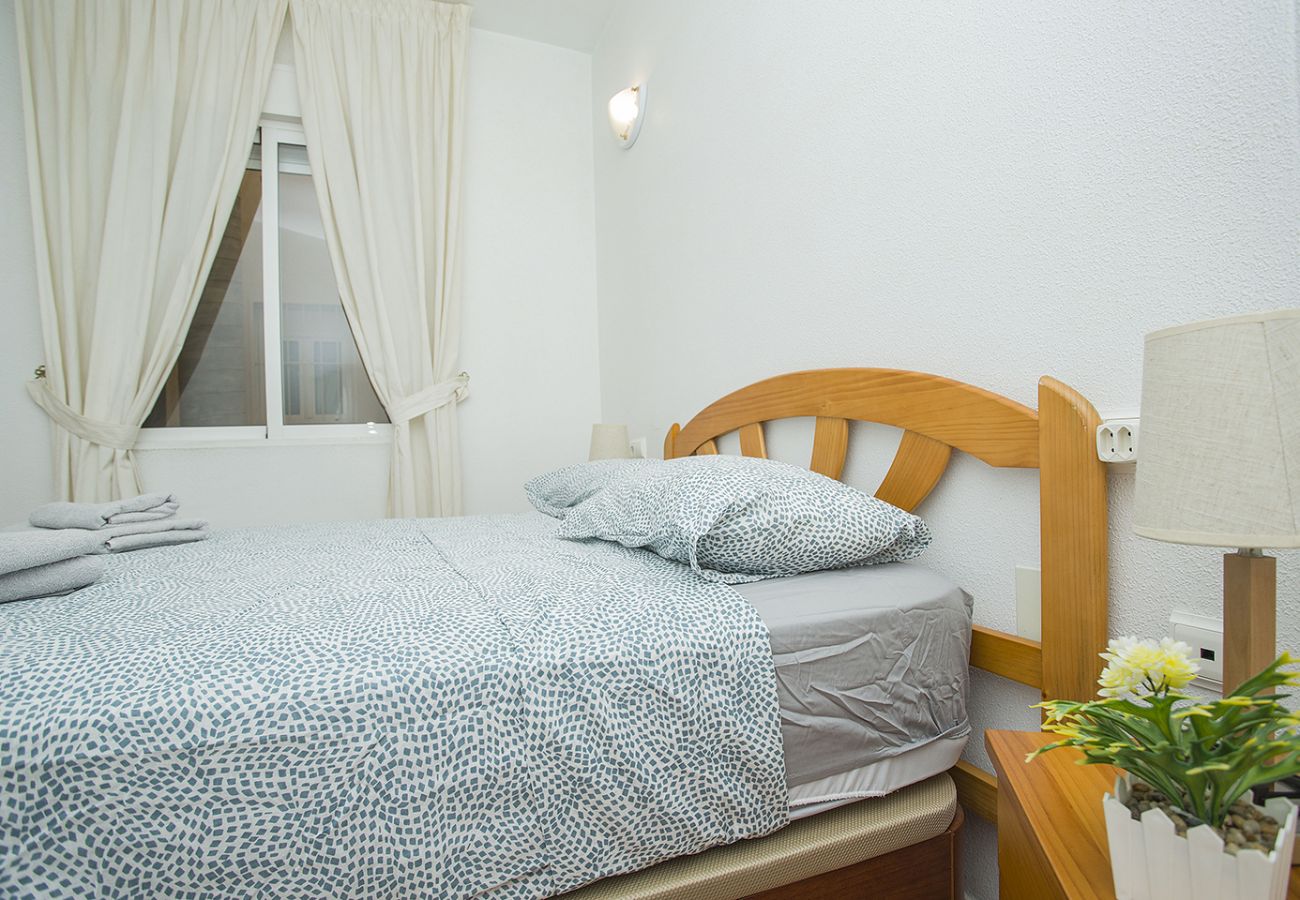 Apartment in Torrevieja - 141 Rambla Nice Place - Alicante Holiday