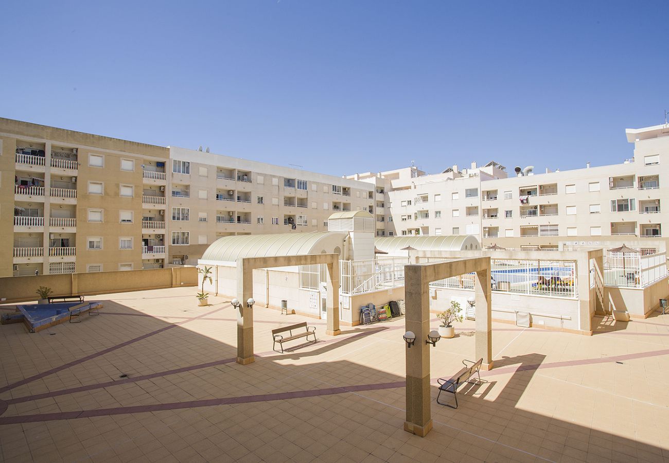 Apartment in Torrevieja - 141 Rambla Nice Place - Alicante Holiday