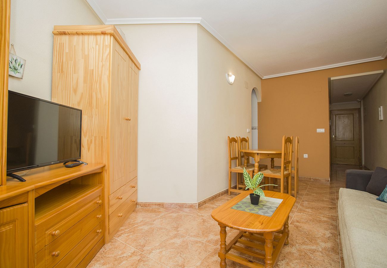 Apartment in Torrevieja - 141 Rambla Nice Place - Alicante Holiday