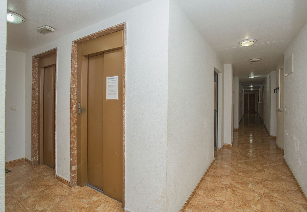 Apartment in Torrevieja - 141 Rambla Nice Place - Alicante Holiday