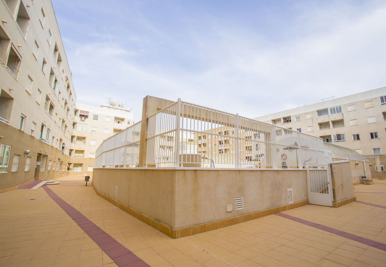 Apartment in Torrevieja - 141 Rambla Nice Place - Alicante Holiday