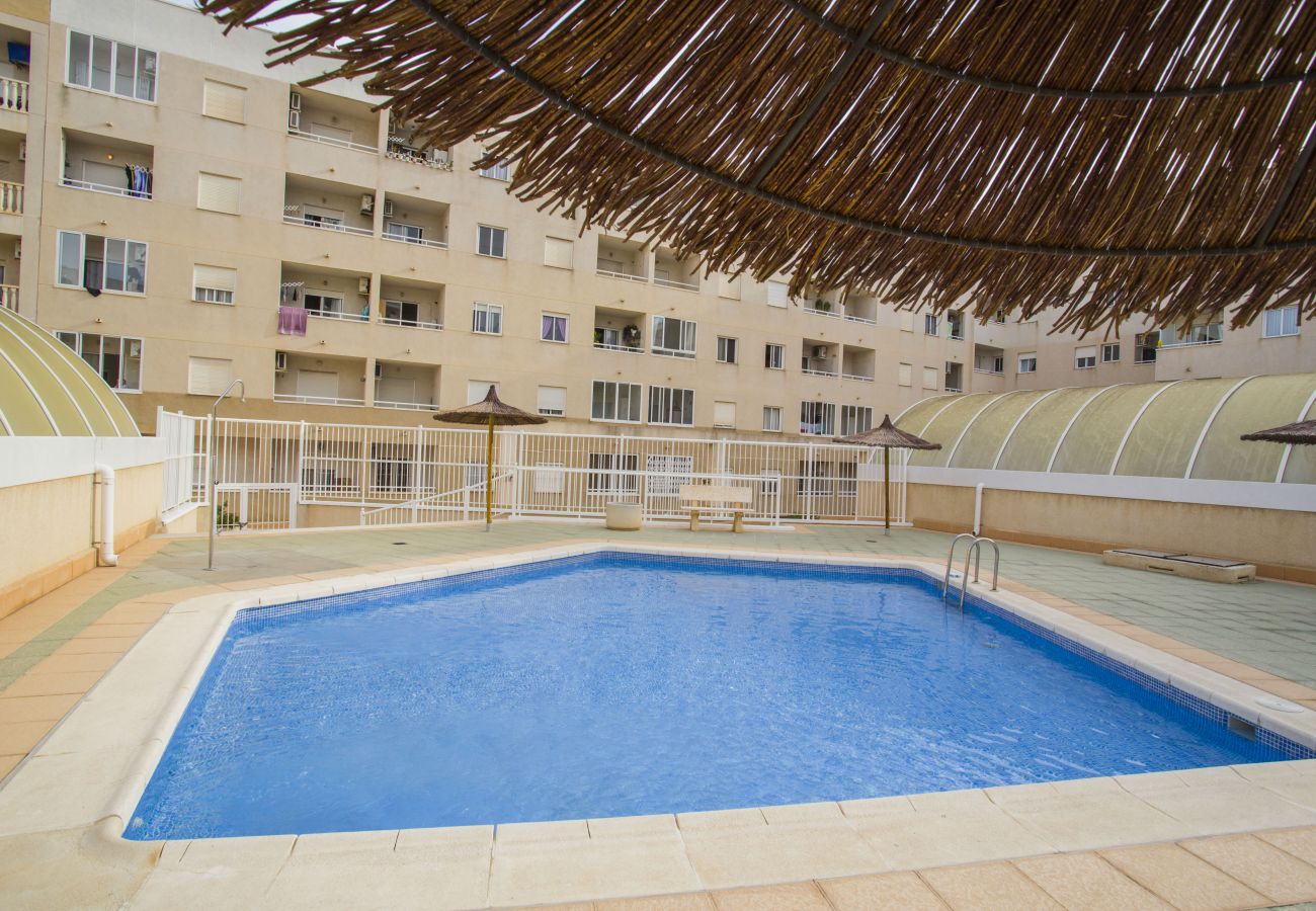 Apartment in Torrevieja - 141 Rambla Nice Place - Alicante Holiday