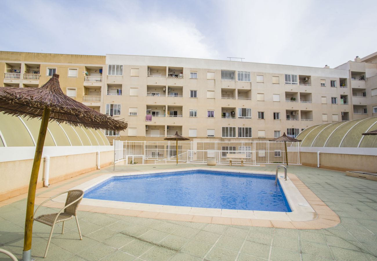 Apartment in Torrevieja - 141 Rambla Nice Place - Alicante Holiday
