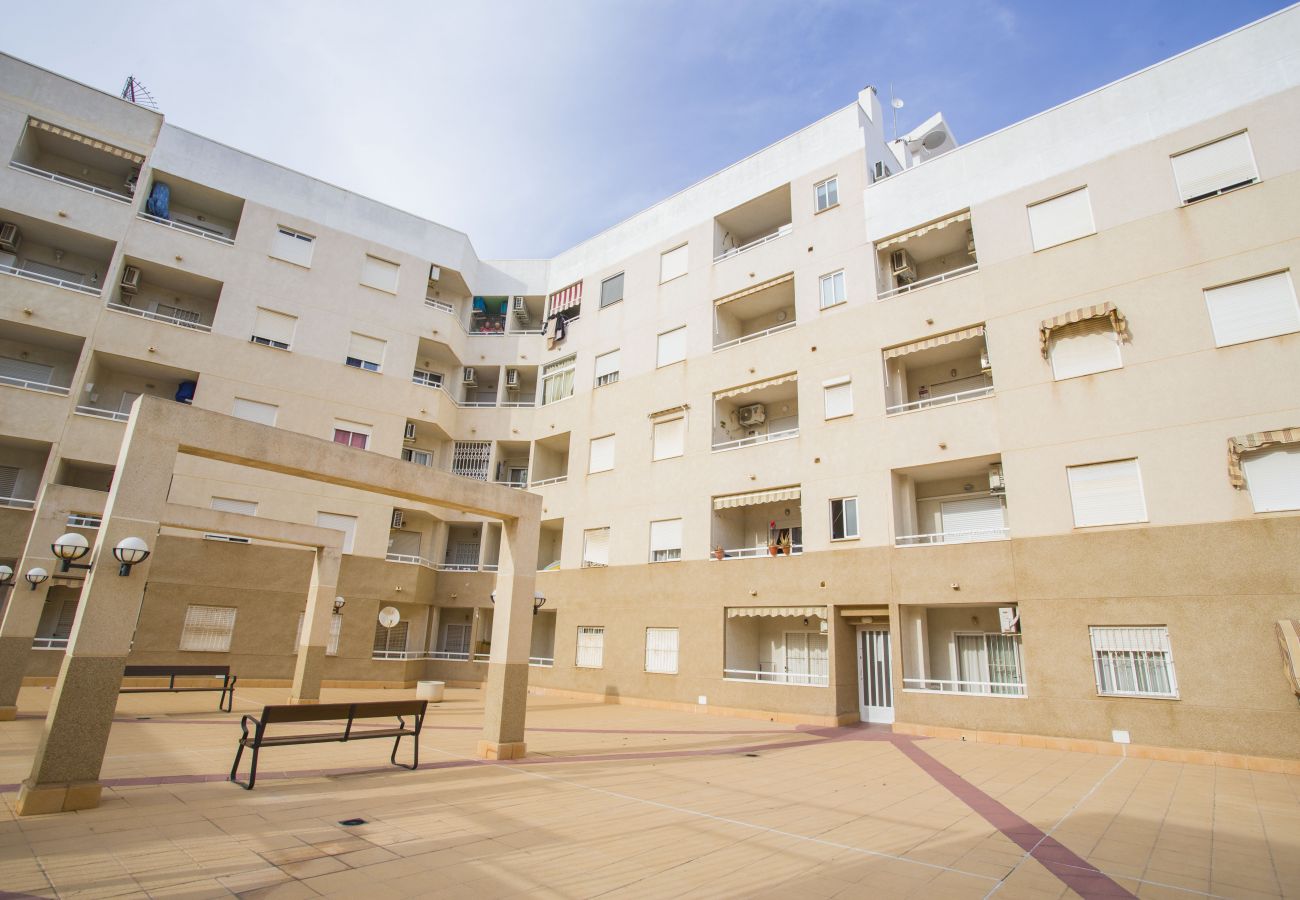 Apartment in Torrevieja - 141 Rambla Nice Place - Alicante Holiday