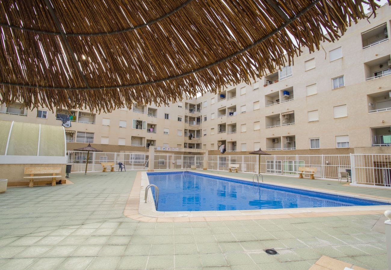 Apartment in Torrevieja - 141 Rambla Nice Place - Alicante Holiday