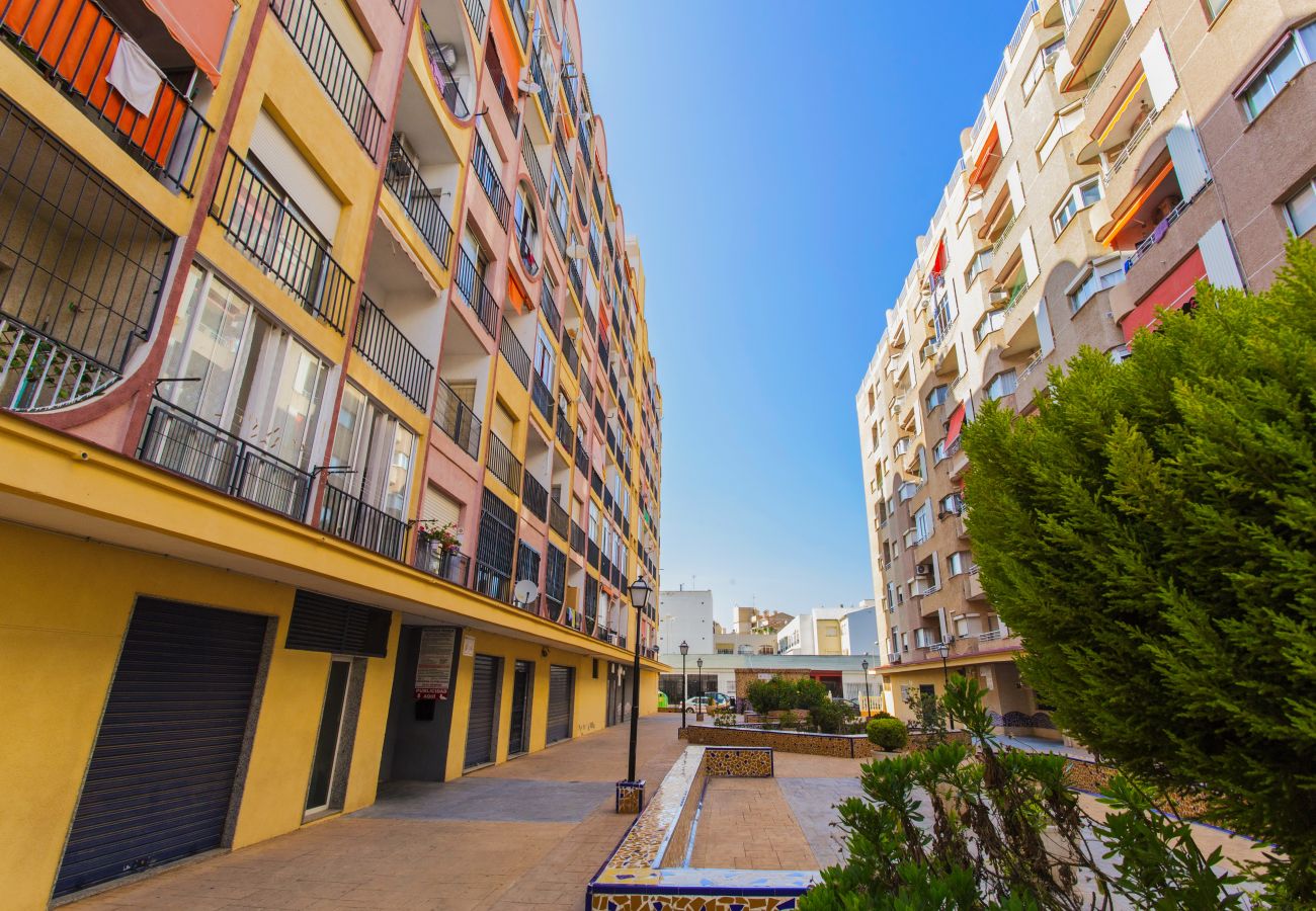 Studio in Torrevieja - 087 Sky Studio - Alicante Holiday