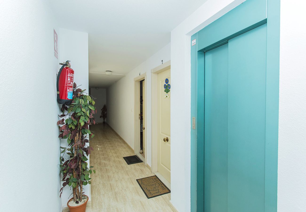 Apartment in La Mata - 086 Retro Mayor Holiday - Alicante Holiday