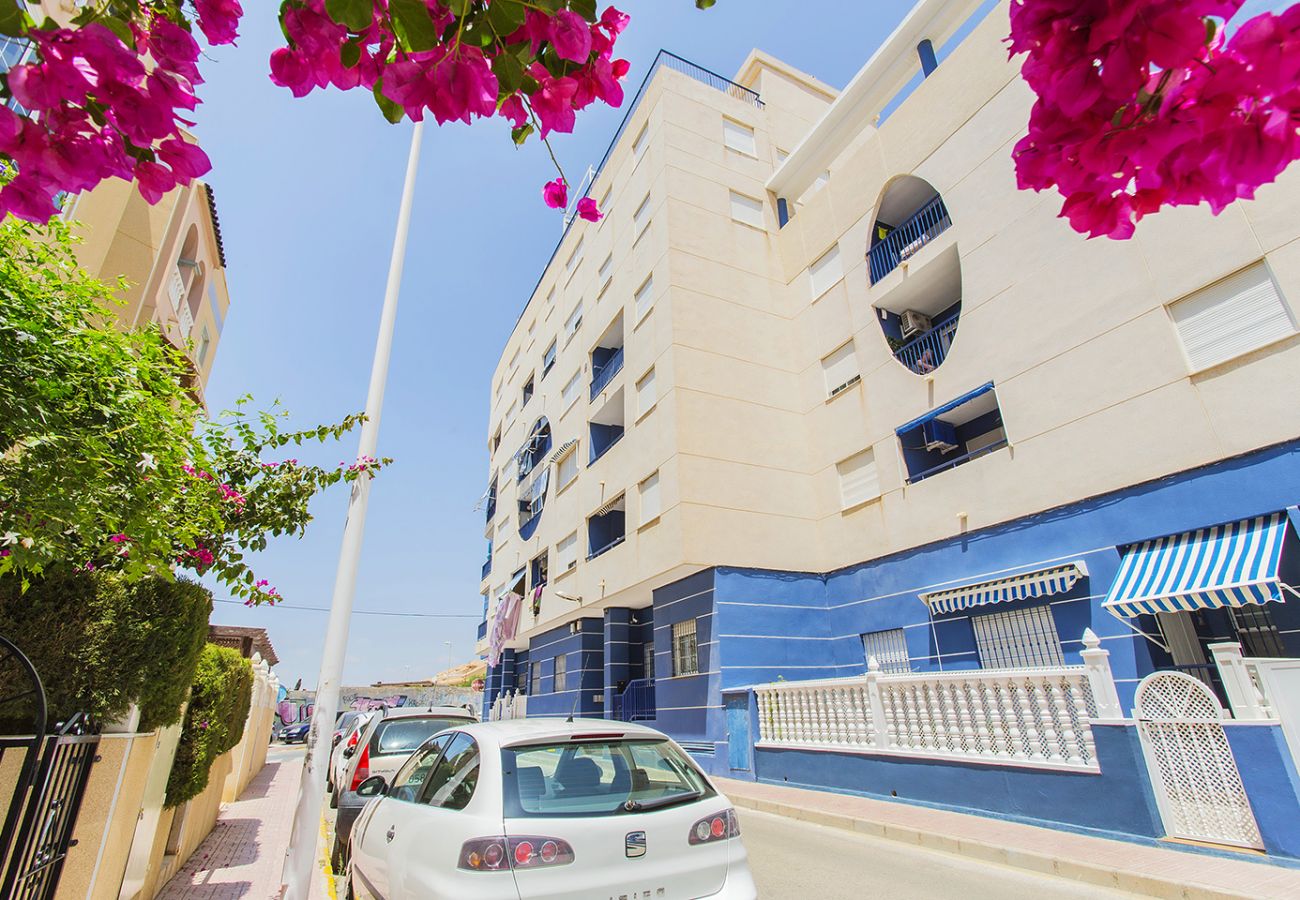 Apartment in La Mata - 086 Retro Mayor Holiday - Alicante Holiday