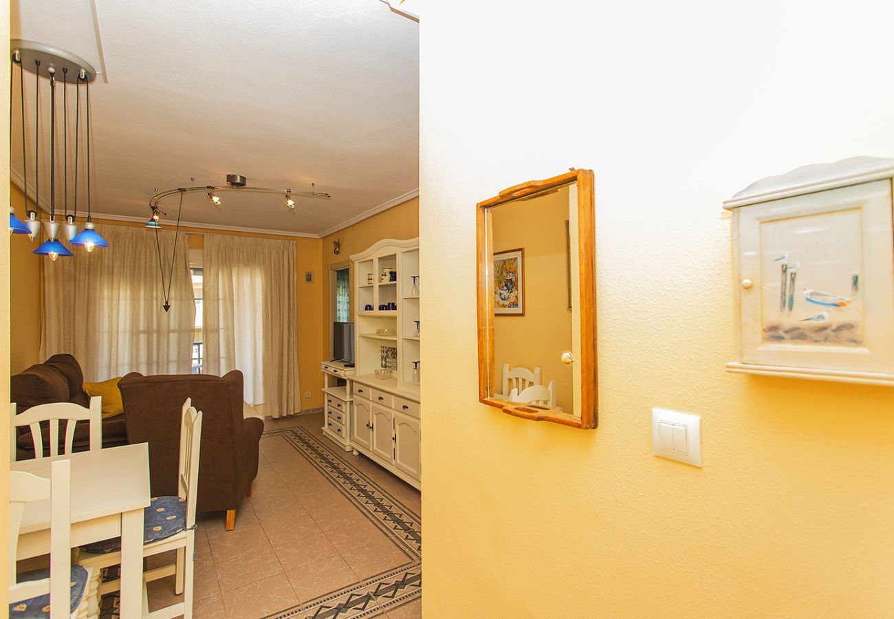 Apartment in La Mata - 086 Retro Mayor Holiday - Alicante Holiday
