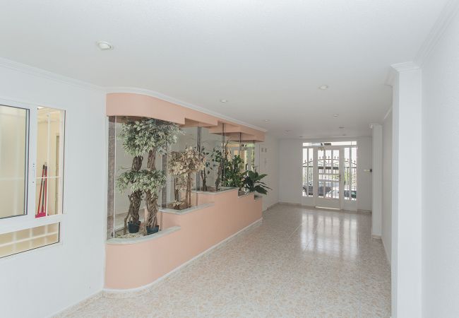 Apartment in Torrevieja - 132 Green House-Alicante Holiday