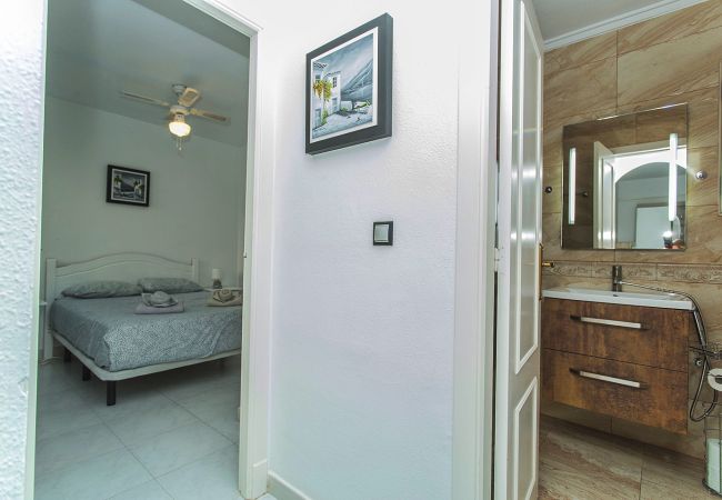Apartment in Torrevieja - 078 City Views- Alicante Holiday Apartment in Torrevieja - 078 City Views- Alicante Holiday