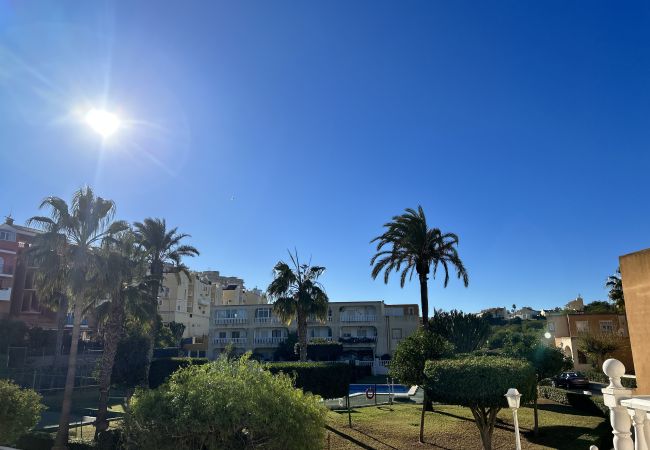 Apartment in La Mata - 054 Sun Olive Apartment-Alicante Holiday