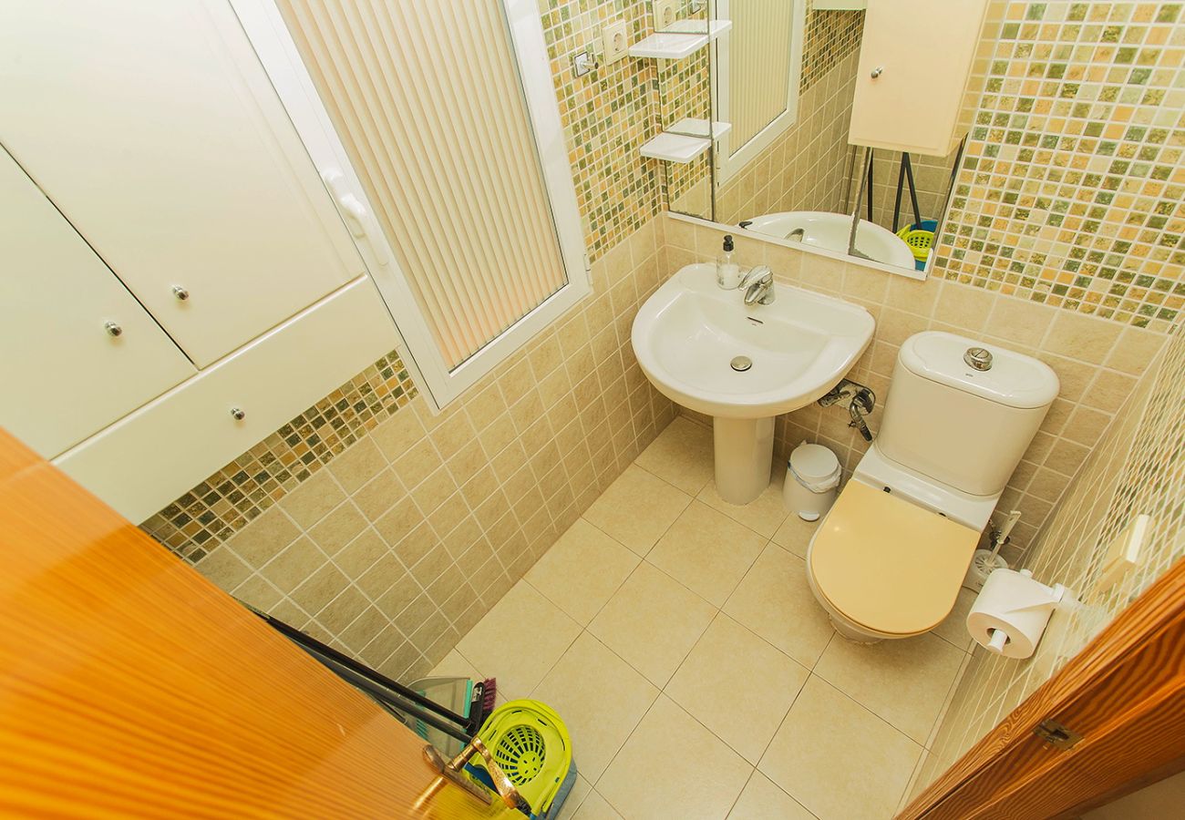 Apartment in Torrevieja - 019 Lomas Penthouse - Alicante Holiday