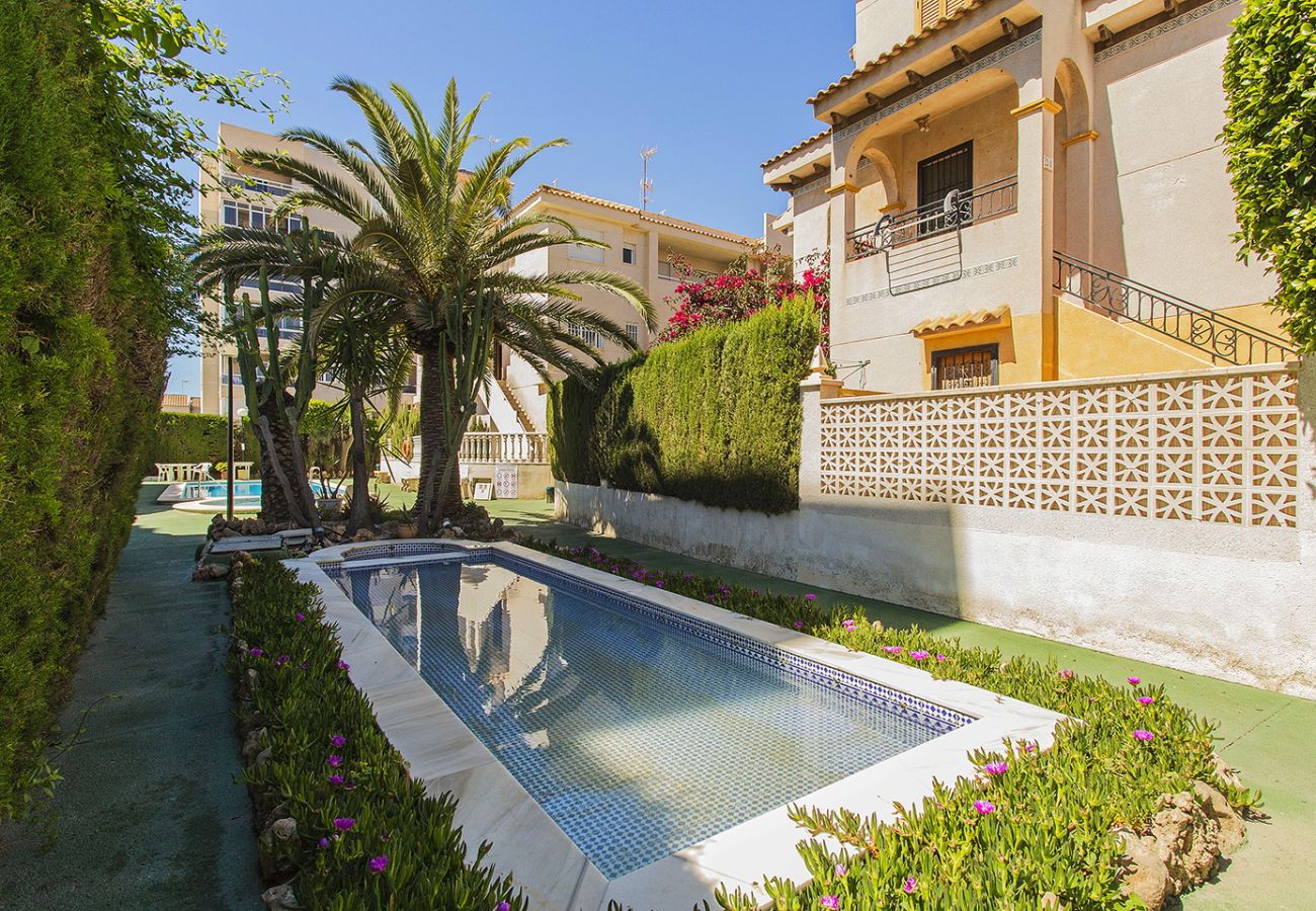 Apartment in Torrevieja - 151 Lovely Perseo Alicante-Holiday