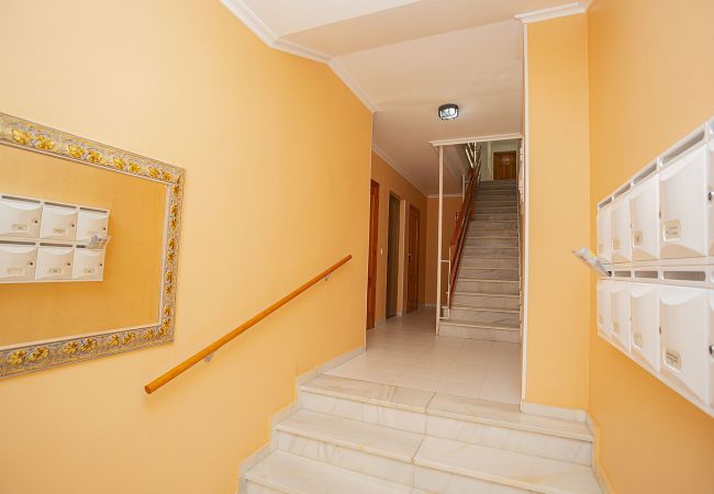 Apartment in La Mata - 068 Nice Corner La Mata - Alicante Holiday Apartment in La Mata - 068 Nice Corner La Mata - Alicante Holiday