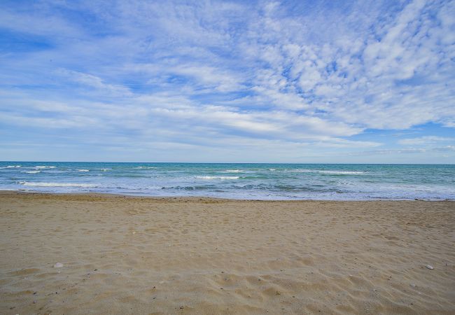 Apartment in La Mata - 068 Nice Corner La Mata - Alicante Holiday Apartment in La Mata - 068 Nice Corner La Mata - Alicante Holiday