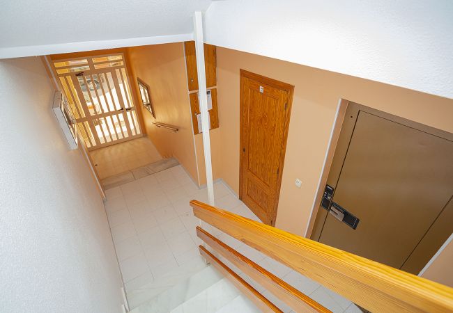 Apartment in La Mata - 068 Nice Corner La Mata - Alicante Holiday Apartment in La Mata - 068 Nice Corner La Mata - Alicante Holiday