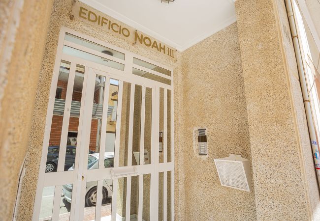 Apartment in La Mata - 068 Nice Corner La Mata - Alicante Holiday Apartment in La Mata - 068 Nice Corner La Mata - Alicante Holiday