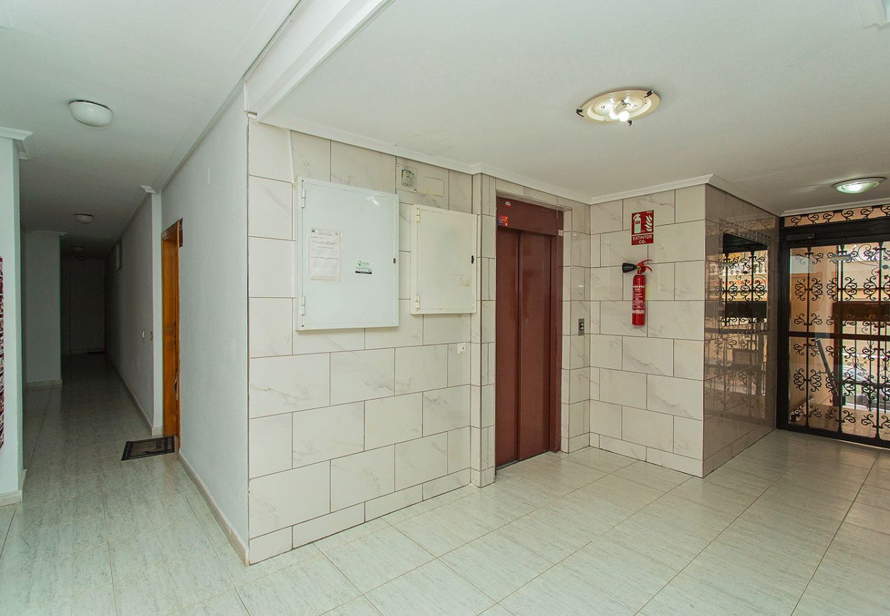 Apartment in Torrevieja - 162 Cozy Apartment Alicante-Holiday