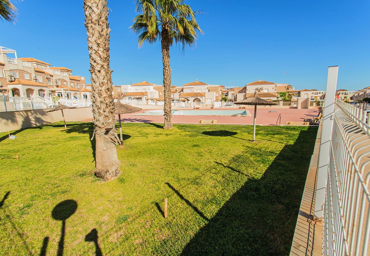 Apartment in Torrevieja - 025 Sunny Oasis Apartment - Alicante Holiday