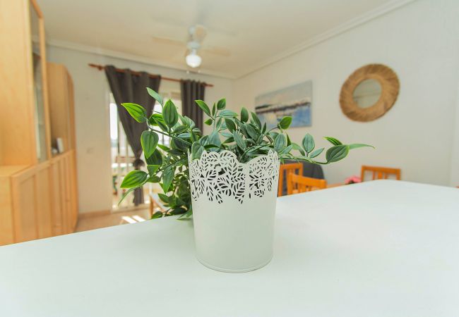 Apartment in La Mata - 049 Sunset Lakeview - Alicante Holiday Apartment in La Mata - 049 Sunset Lakeview - Alicante Holiday