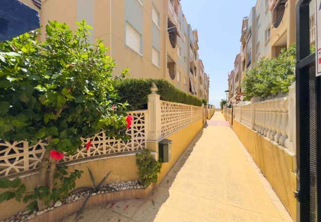 Apartment in La Mata - 027 Mar y Sol La Mata - Alicante Holiday Apartment in La Mata - 027 Mar y Sol La Mata - Alicante Holiday